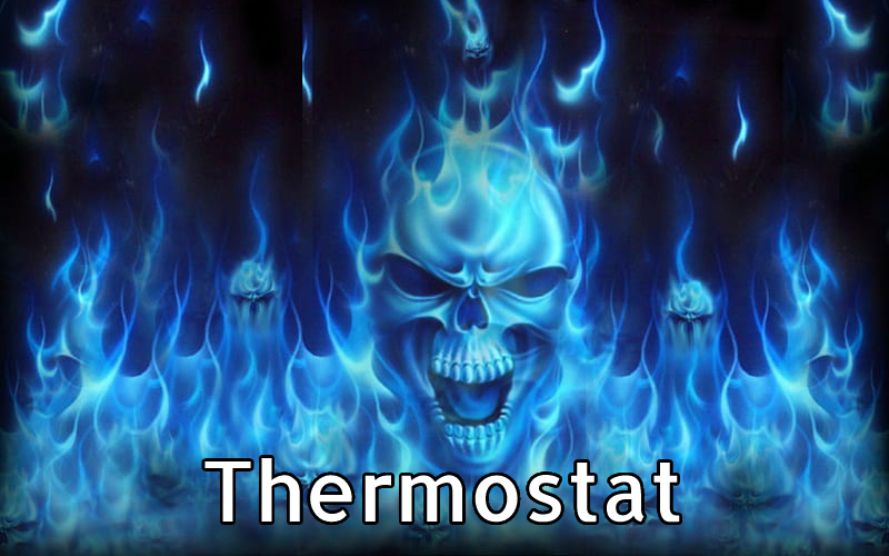 Thermostat